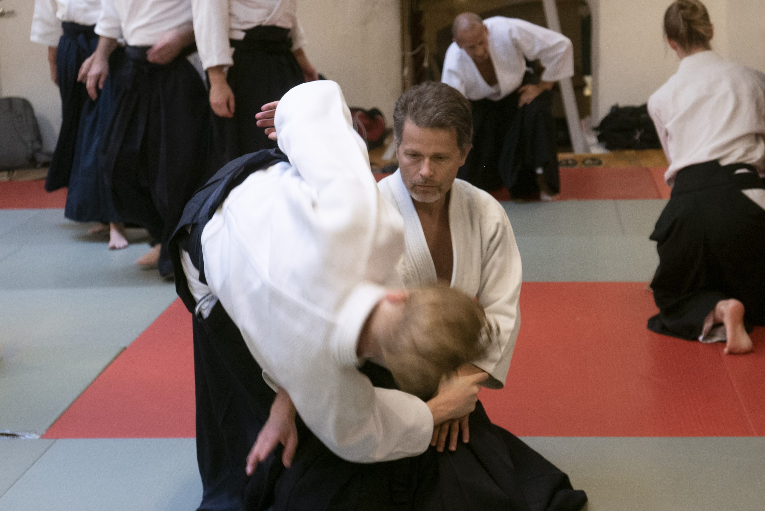 Practice Aikido -